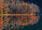 Herbst am See 2